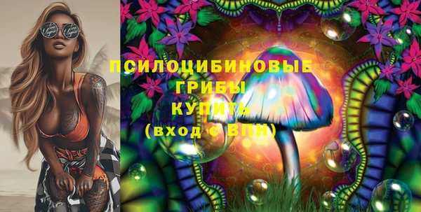ECSTASY Абаза