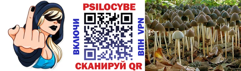 blacksprut ССЫЛКА Севастополь Псилоцибиновые грибы мицелий
