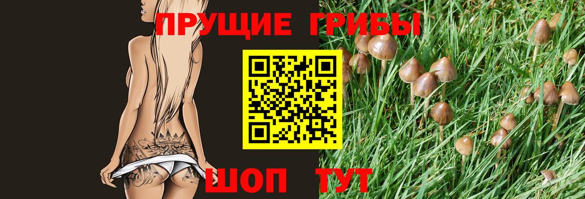 Псилоцибиновые грибы Magic Shrooms  Вход с VPN  Галлюциногенные грибы мухоморы  магазин    Севастополь 